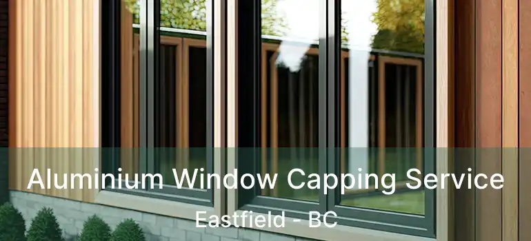 Aluminium Window Capping Service Eastfield - BC