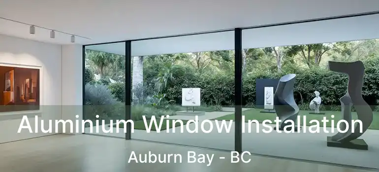 Aluminium Window Installation Auburn Bay - BC