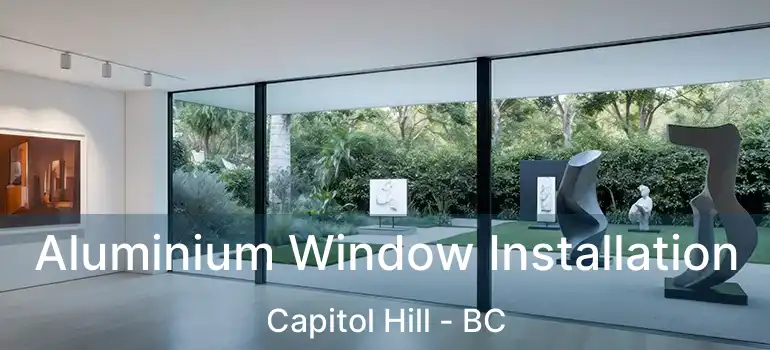 Aluminium Window Installation Capitol Hill - BC
