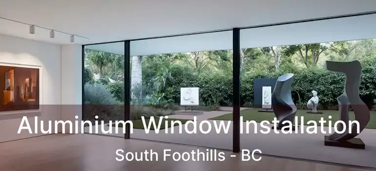 Aluminium Window Installation South Foothills - BC