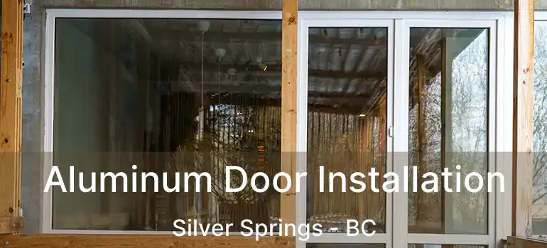 Aluminum Door Installation Silver Springs - BC