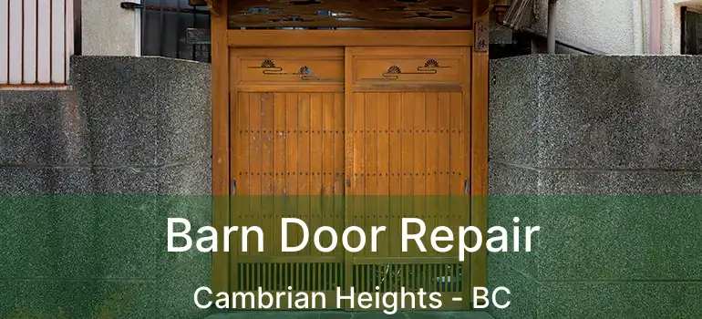 Barn Door Repair Cambrian Heights - BC