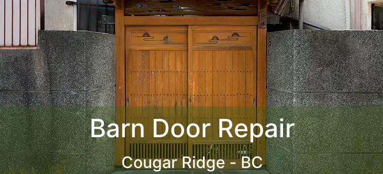 Barn Door Repair Cougar Ridge - BC