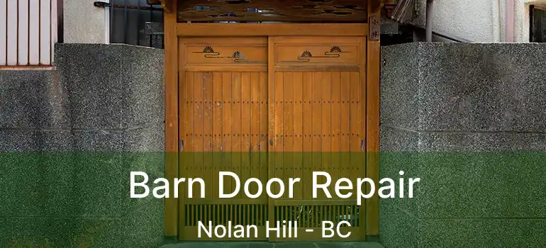 Barn Door Repair Nolan Hill - BC