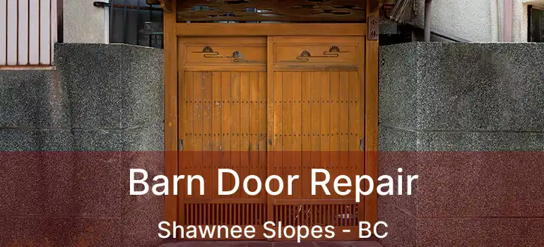 Barn Door Repair Shawnee Slopes - BC