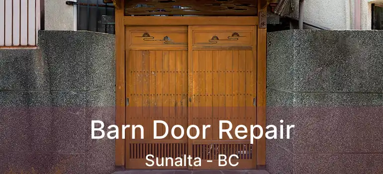 Barn Door Repair Sunalta - BC