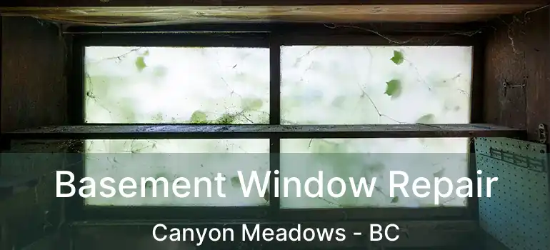 Basement Window Repair Canyon Meadows - BC