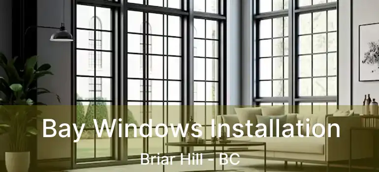 Bay Windows Installation Briar Hill - BC