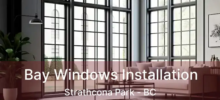 Bay Windows Installation Strathcona Park - BC