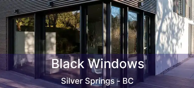 Black Windows Silver Springs - BC