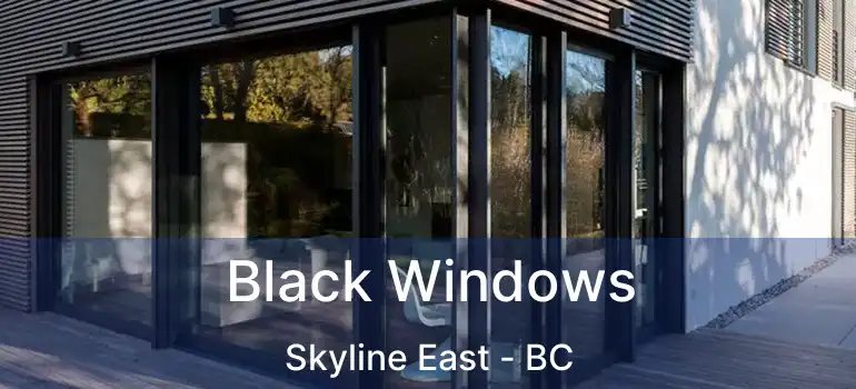 Black Windows Skyline East - BC