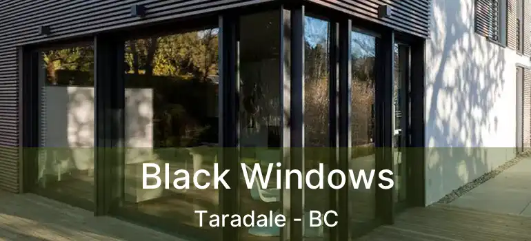 Black Windows Taradale - BC
