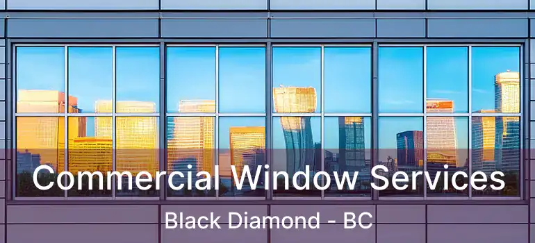Commercial Window Services Black Diamond - BC