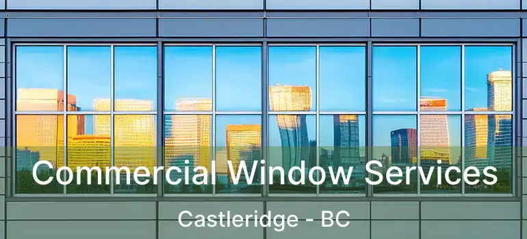 Commercial Window Services Castleridge - BC
