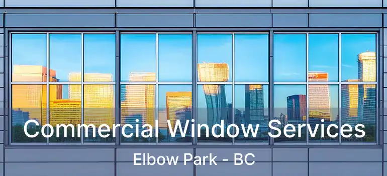 Commercial Window Services Elbow Park - BC