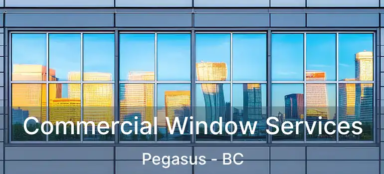 Commercial Window Services Pegasus - BC