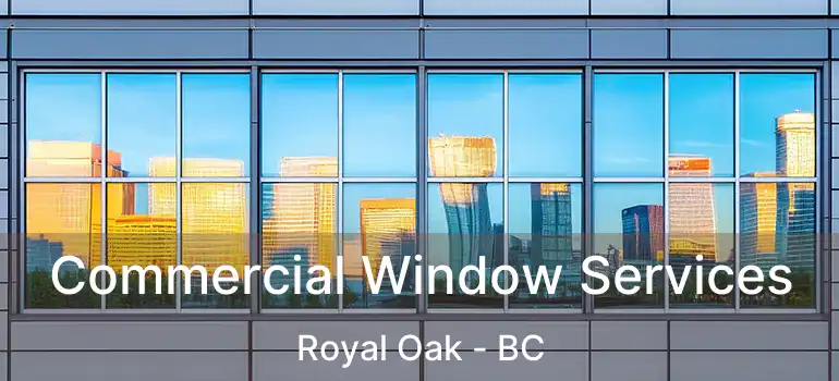 Commercial Window Services Royal Oak - BC