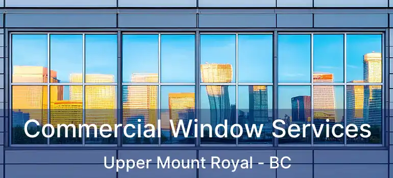 Commercial Window Services Upper Mount Royal - BC