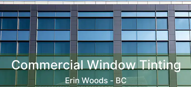 Commercial Window Tinting Erin Woods - BC