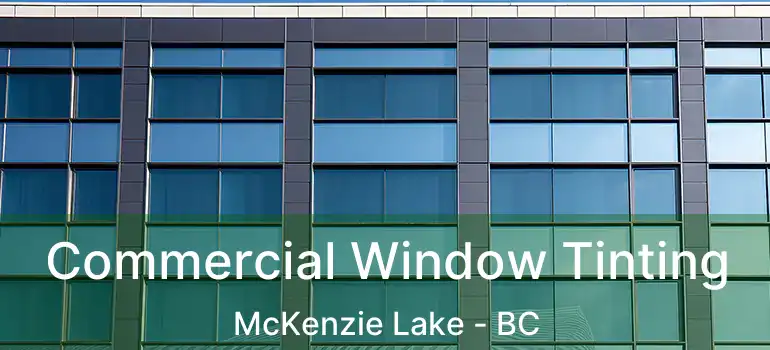 Commercial Window Tinting McKenzie Lake - BC