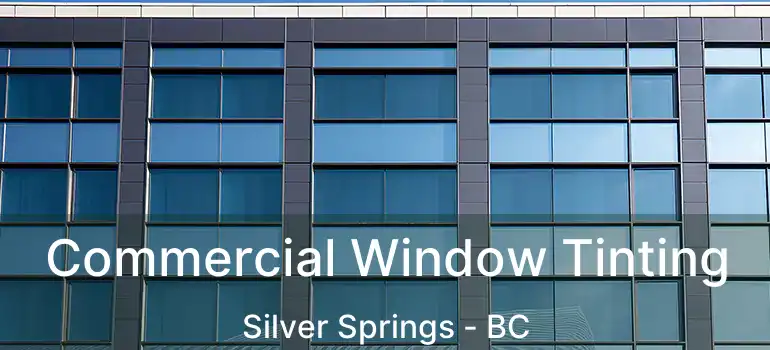 Commercial Window Tinting Silver Springs - BC