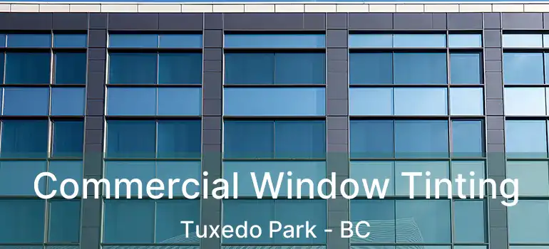Commercial Window Tinting Tuxedo Park - BC