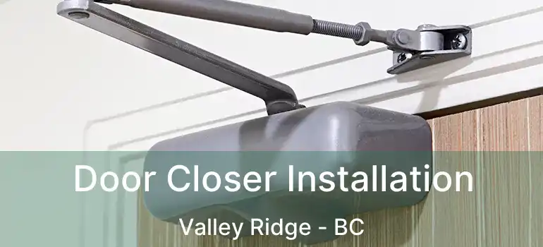 Door Closer Installation Valley Ridge - BC