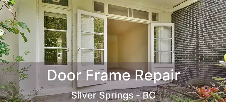 Door Frame Repair Silver Springs - BC