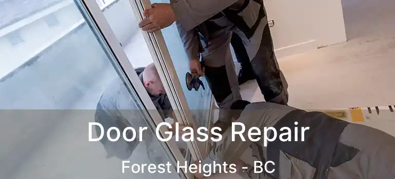 Door Glass Repair Forest Heights - BC