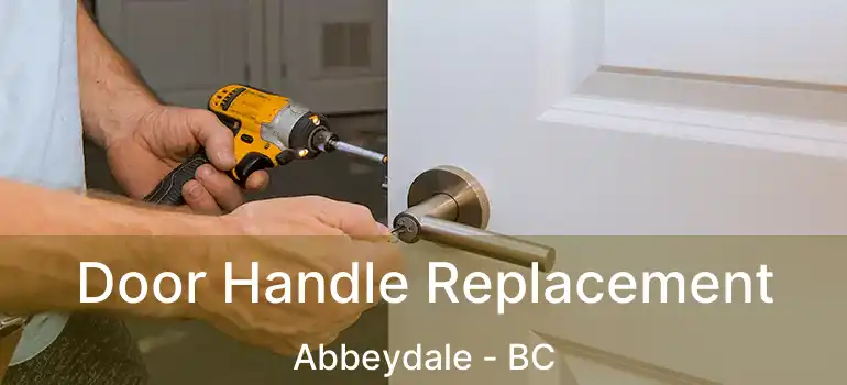 Door Handle Replacement Abbeydale - BC