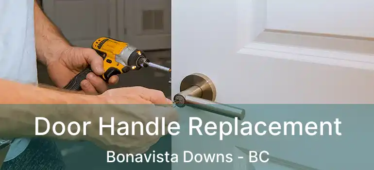 Door Handle Replacement Bonavista Downs - BC