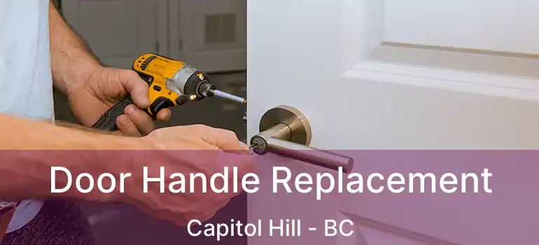 Door Handle Replacement Capitol Hill - BC