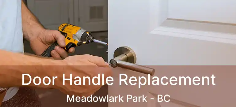 Door Handle Replacement Meadowlark Park - BC