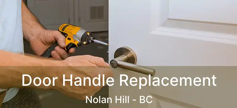 Door Handle Replacement Nolan Hill - BC