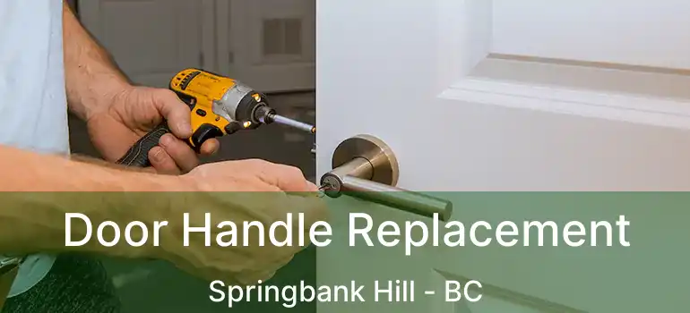 Door Handle Replacement Springbank Hill - BC