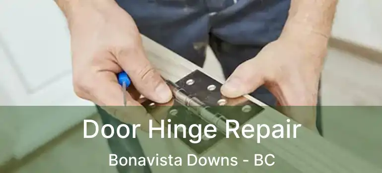 Door Hinge Repair Bonavista Downs - BC