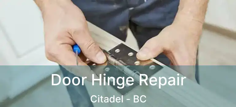 Door Hinge Repair Citadel - BC