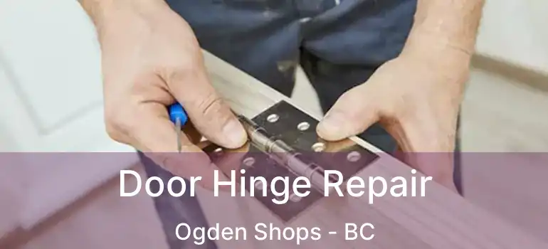 Door Hinge Repair Ogden Shops - BC
