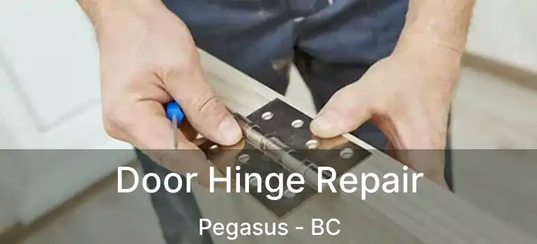 Door Hinge Repair Pegasus - BC