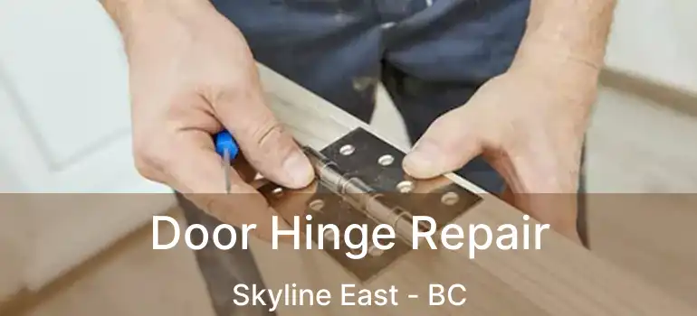 Door Hinge Repair Skyline East - BC