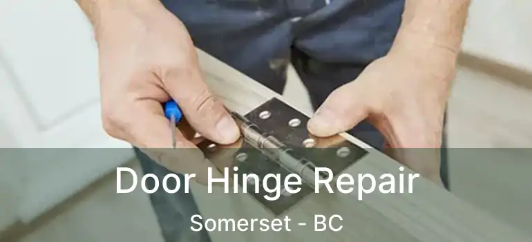 Door Hinge Repair Somerset - BC