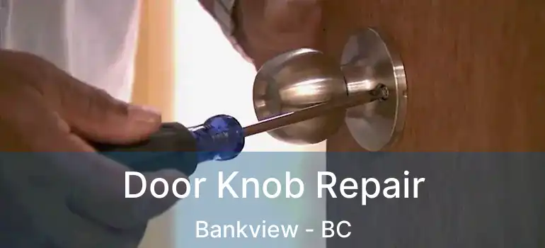 Door Knob Repair Bankview - BC