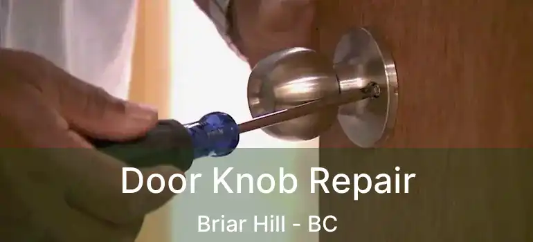 Door Knob Repair Briar Hill - BC