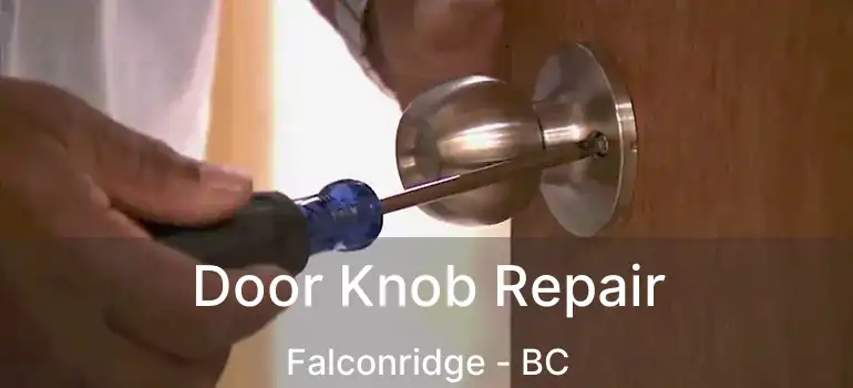 Door Knob Repair Falconridge - BC