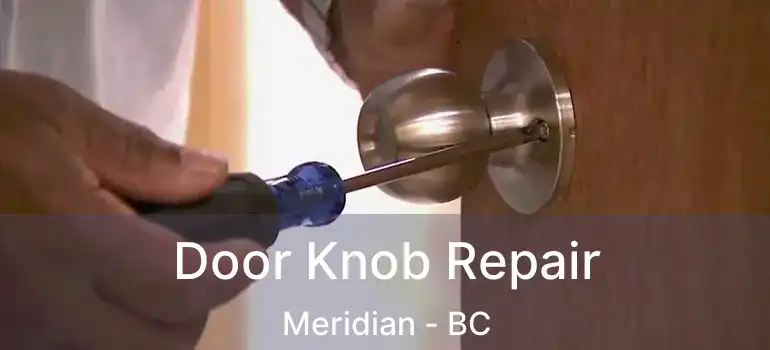 Door Knob Repair Meridian - BC