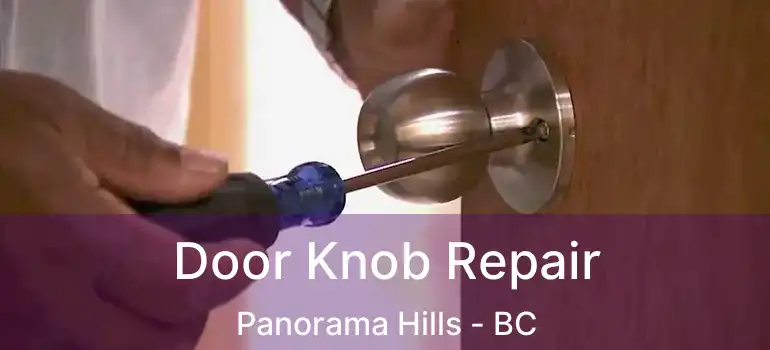 Door Knob Repair Panorama Hills - BC