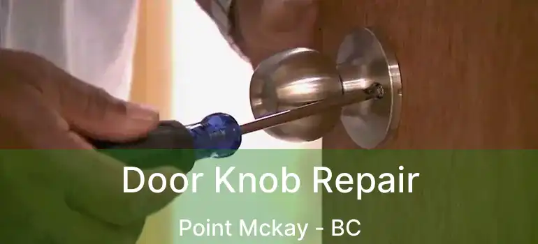 Door Knob Repair Point Mckay - BC
