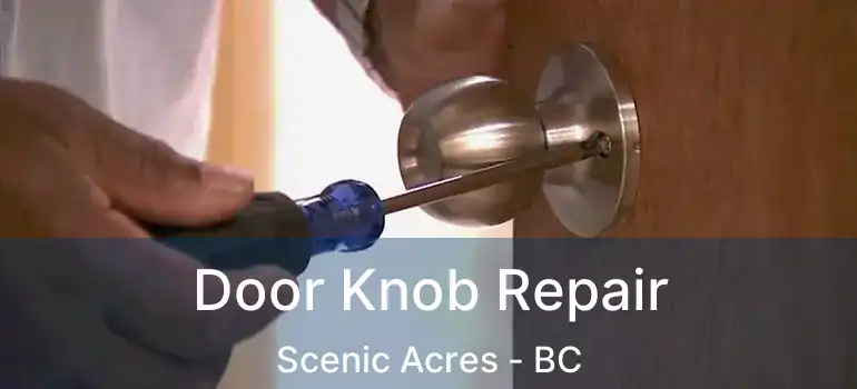 Door Knob Repair Scenic Acres - BC