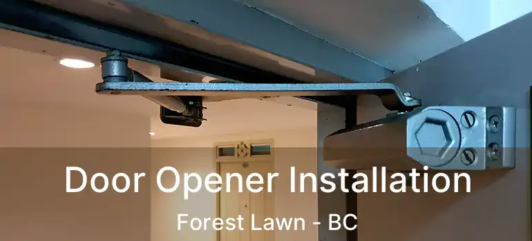 Door Opener Installation Forest Lawn - BC