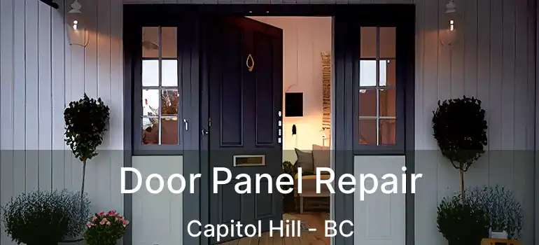 Door Panel Repair Capitol Hill - BC